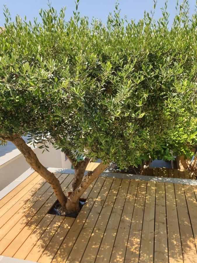 مبيت وإفطار إنسويس-لا-رودون Les Terrasses Des Anthenors المظهر الخارجي الصورة